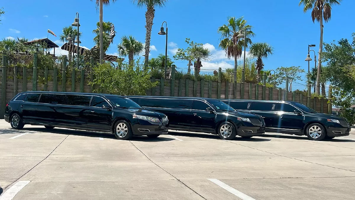 Limousines at Walt Disney World Resorts
